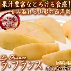 Yn EtX m 3kg 6`9 R`Y Ki Ȃ߂炩ȐHƊẪ݂Mtgt[cINxQ̃tX