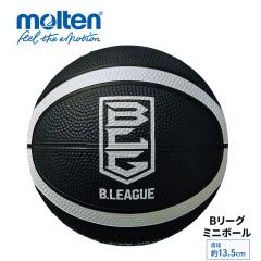 �����e�� molten �o�X�P�b�g�{�[�� B���[�O �~�j�{�[�� 13.5cm �S�� �u���b�N �z���C�g �T�C���{�[�� �Ϗܗp �L�O�i �����O�b�Y �C���e��