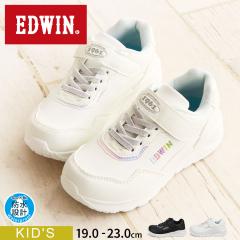 GhEB qC Xj[J[ LbY WjA ̎q h y [Jbg y ʃt@Xi[ SR 킢   