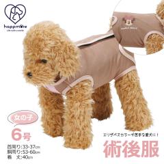 �y�b�g�p �p�㕞 �� ���̎q�p 6�� ���^�� �u���E�� ���X �� �� �R�� ���L ��p�� �E�F�A ���� ��񂿂�� ���ɂ₳���� �����₷�� ����