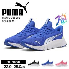 �v�[�} �W���j�A �X�j�[�J�[ �L�b�Y �X���b�|�� �q���C �^���C ���̎q �j�̎q �������܂ܗ����� �n���Y�t���[ �J�W���A�� �X�|�[�e�B ��