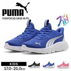 �v�[�} �L�b�Y �X�j�[�J�[ �X���b�|�� �W���j�A �q���C �^���C �R�C ���̎q �j�̎q �������܂ܗ����� �n���Y�t���[ �J�W���A�� �X�|�[�e