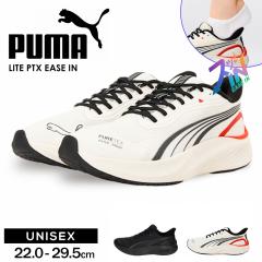 v[} jOV[Y Y fB[X H C[YC ܂ܗ nYt[V[Y ^C Xj[J[ jp 