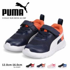 v[} xr[V[Y ̎q j̎q Xj[J[ qC }WbNe[v SR y puma Xj[J[ LbY xr[C c ۈ牀 c