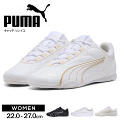 v[} Xj[J[ fB[X [Jbg ʋ ʊw ubN  zCg  TCY 傫TCY Vv w WjA V