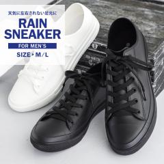 ���C���V���[�Y �����Y �X�j�[�J�[ ������� �J�W���A�� ���C���X�j�[�J�[ �V���[�Y �h�� �����₷�� ���J���p �ʊw ���[�J�b�g�X�j�[�J