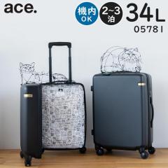  ace. �^HAyU�~ace. �p�L�� (34L) �����l�R�� �t�@�X�i�[�^�C�v �X�[�c�P�[�X 2�`3���p 3�Ӎ��v115cm �@���������݃T�C�Y 05781