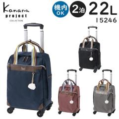  Kanana project JiivWFNg RNV VYG A[YTR (22L) L[obO y @݃TCY ACE 15246