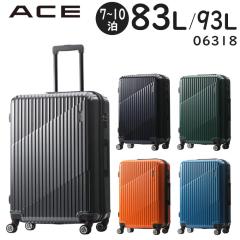  ACE NX^ X[cP[X (83L/ő93L) }`g@\ t@Xi[^Cv 7`10p Ov154cm וaTCY 06318