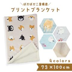 �t�����Y�q�� �f�W�^���v�����g�u�����P�b�g �Ђ��|�� �ѕz ���R���R �h�� �Č� ���΂��� �V�}�G�i�K ���܂��Ȃ� ���� �L �˂� �l�R �L��