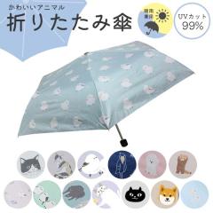 �t�����Y�q���܂肽���ݎP ���J���p�P ���C���O�b�Y �����^�� ���P ���킢�� �L �˂� �l�R �V�}�G�i�K ���܂��Ȃ� �n�V�r���R�E ���f�B�[