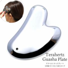 �e���w���c�z�� �������v���[�g M���^ ������ �t�F�C�X�}�b�T�[�W ���e �e���w���c Terahertz �e���w���c�g ���ʉ��H �p���[�X�g�[�� �V