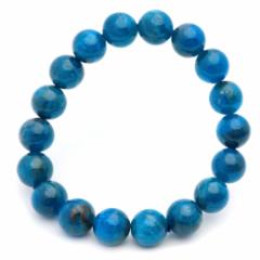 u[ Ap^Cg uXbg 12mm uWY VR 1_ p[Xg[ apatite