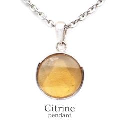 �V�g���� �l�b�N���X �V�R�� �y���_���g �Z䊐� �N�H�[�c ���F ���� �p���[�X�g�[�� SILVER925 1�_�� �v���[���g �M�t�g �P�[�X�t�� ����