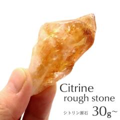 �V�g���� ���t���� 30-50g�O�� 1���� �u���W���Y �����_������ �p���[�X�g�[�� �V�R�� ������ �N�H�[�c ���� �z�� �z�� �C���e���A �W