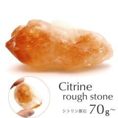 �V�g���� ���t���� 70-80g�O�� 1���� �u���W���Y �����_������ �p���[�X�g�[�� �V�R�� ������ �N�H�[�c ���� �z�� �z�� �C���e���A �W