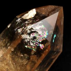 �V�g���� ����M �|���b�V�� �|�C���g ������ �Z�p�� ������ �u���W���E�~�i�X�W�F���C�X�B �C�`���K�Y ������6cm �i�`�������J���[ 1�_