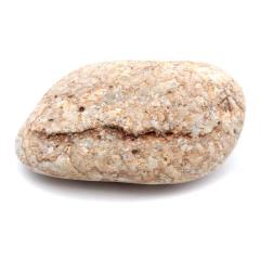 �P���� ������Y ���R�� 349g 1�_���� �����C�p ���p�r �V�R�� ���� �p���[�X�g�[�� �򉻃O�b�Y ���� �q�[�����O �v���[���g