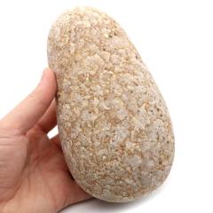 �P���� ������Y ���R�� 1.4kg ����T�C�Y 1�_���� �����C�p ���p�r �V�R�� ���� �p���[�X�g�[�� �򉻃O�b�Y ���� �q�[�����O �v���[��