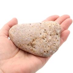 �P���� ������Y ���R�� 222g ����T�C�Y 1�_���� �����C�p ���p�r �V�R�� ���� �p���[�X�g�[�� �򉻃O�b�Y ���� �q�[�����O �v���[��