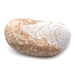 �P���� ������Y ���R�� 140g ����T�C�Y 1�_���� �����C�p ���p�r �V�R�� ���� �p���[�X�g�[�� �򉻃O�b�Y ���� �q�[�����O �v���[��