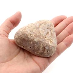 �P���� ������Y ���R�� 174g ����T�C�Y 1�_���� �����C�p ���p�r �V�R�� ���� �p���[�X�g�[�� �򉻃O�b�Y ���� �q�[�����O �v���[��