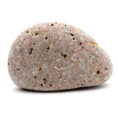 �P���� ������Y ���R�� 228g ����T�C�Y 1�_���� �����C�p ���p�r �V�R�� ���� �p���[�X�g�[�� �򉻃O�b�Y ���� �q�[�����O �v���[��