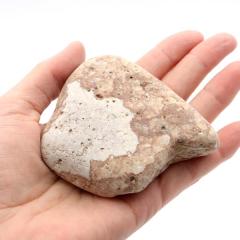 �P���� ������Y ���R�� 191g ����T�C�Y 1�_���� �����C�p ���p�r �V�R�� ���� �p���[�X�g�[�� �򉻃O�b�Y ���� �q�[�����O �v���[��