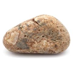 �P���� ������Y ���R�� 163g ����T�C�Y 1�_���� �����C�p ���p�r �V�R�� ���� �p���[�X�g�[�� �򉻃O�b�Y ���� �q�[�����O �v���[��