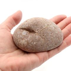 �P���� ������Y ���R�� 222g ����T�C�Y 1�_���� �����C�p ���p�r �V�R�� ���� �p���[�X�g�[�� �򉻃O�b�Y ���� �q�[�����O �v���[��