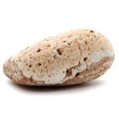 �P���� ������Y ���R�� 204g ����T�C�Y 1�_���� �����C�p ���p�r �V�R�� ���� �p���[�X�g�[�� �򉻃O�b�Y ���� �q�[�����O �v���[��