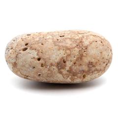 �P���� ������Y ���R�� 248g ����T�C�Y 1�_���� �����C�p ���p�r �V�R�� ���� �p���[�X�g�[�� �򉻃O�b�Y ���� �q�[�����O �v���[��