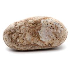 �P���� ������Y ���R�� 236g ����T�C�Y 1�_���� �����C�p ���p�r �V�R�� ���� �p���[�X�g�[�� �򉻃O�b�Y ���� �q�[�����O �v���[��