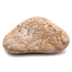 �P���� ������Y ���R�� 331g ����T�C�Y 1�_���� �����C�p ���p�r �V�R�� ���� �p���[�X�g�[�� �򉻃O�b�Y ���� �q�[�����O �v���[��