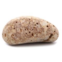 �P���� ������Y ���R�� 239g ����T�C�Y 1�_���� �����C�p ���p�r �V�R�� ���� �p���[�X�g�[�� �򉻃O�b�Y ���� �q�[�����O �v���[��