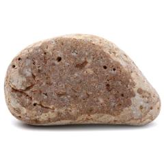 �P���� ������Y ���R�� 274g ����T�C�Y 1�_���� �����C�p ���p�r �V�R�� ���� �p���[�X�g�[�� �򉻃O�b�Y ���� �q�[�����O �v���[��