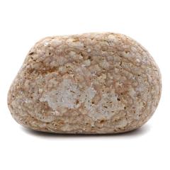 �P���� ������Y ���R�� 305g ����T�C�Y 1�_���� �����C�p ���p�r �V�R�� ���� �p���[�X�g�[�� �򉻃O�b�Y ���� �q�[�����O �v���[��