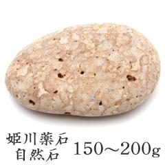 �P���� ������Y ���R�� 1�� 150�|200g�O�� ����T�C�Y �����C�p ���p�r �V�R�� ���� �p���[�X�g�[�� �򉻃O�b�Y ���� �q�[�����O �v��