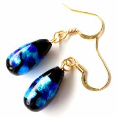 ���� �z�^���K���X ������ �s�A�X �����p �� �h���b�v�^  �Ƃ�ڋ� �F �u���[ ���� ���y�Y �l�R�|�X��������