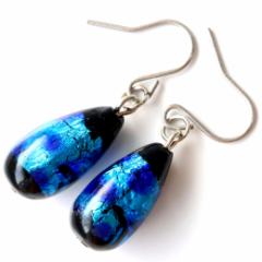 ���� �z�^���K���X ������ �s�A�X �����p �� �h���b�v�^  �Ƃ�ڋ� �F �u���[ ���� ���y�Y �l�R�|�X��������