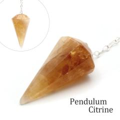 �y���f������ �V�g���� ������ �_�E�W���O �V�R�� �t�[�` �U��q 11�� �a���� �p���[�X�g�[�� Citrine