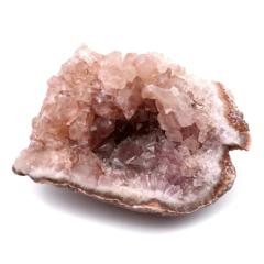 �s���N�A���W�X�g ���� �A���[���`���Y 48g �c�[�\���W����i �W�I�[�h �V�R�� �N���X�^�[ �u���� ���� �C���e���A �z�� �I�u�W�F �p��