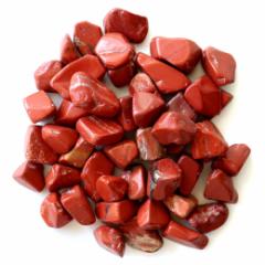 ���b�h�W���X�p�[ �ɋ� ������� 100g �T�C�Y�� �V�R�� �p���[�X�g�[�� �򉻃O�b�Y