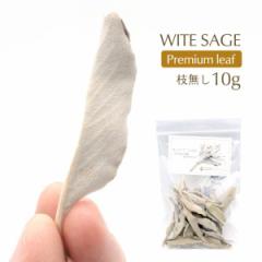 zCgZ[W } [t̂ 10g Iʍς I v~A [t _ i JtHjAY A} white sage 