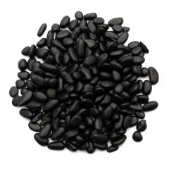 �V�����K�C�g ������� �{�� �`�b�v ���T�C�Y 100g �V�����K�� �J�����A���a���Y �t���[�����Y�f Shungite �V�R�� �p���[�X�g�[�� �򉻃O