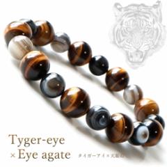 �u���X���b�g �����Y �V��� �^�C�K�[�A�C �p���[�X�g�[�� �V�R�� ���� �A�N�Z�T���[