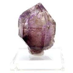 �X�[�p�[�Z�u�� ���� �W���o�u�G�Y �P�� �|�C���g 68g 1�_���� �c�[�\���W����i ���� �V�R�΃X�s���`���A�� �� �A���W�X�g �V�R�� 