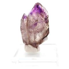 �X�[�p�[�Z�u�� ���� �W���o�u�G�Y �P�� �|�C���g 45g 1�_���� �c�[�\���W����i ���� �V�R�΃X�s���`���A�� �� �A���W�X�g �V�R�� 