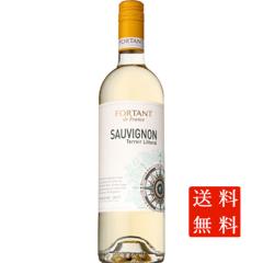 �t�H���^���E���g���� �\�[���B�j�����E�u���� / �X�J�� �� 750ml 12�{ �t�����X �����O�h�b�N�E���[�V���� �P�[�X�̔� �����C�� ���Ε� 