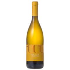 �y�R���[�m�E�e���E�f�B�E�L�G�e�B / �J���e�B�i�E�g�� 750ml �C�^���A �����C�� ���Ε� �a���� ���j�� �M�t�g �v���[���g